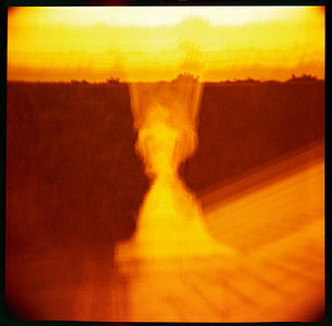 Вена, 2012 г.  Камера Diana F+, пленка Lomography Redscale, мультиэкспозиция