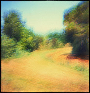 Lignano, 2018. Diana F+ camera, Fujifilm Provia film, multi-exposure, cross-process