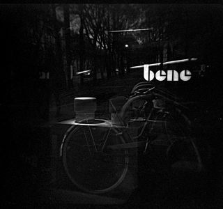 Вена, 2012 г.  Камера Diana F+, пленка Kodak T-MAX, мультиэкспозиция