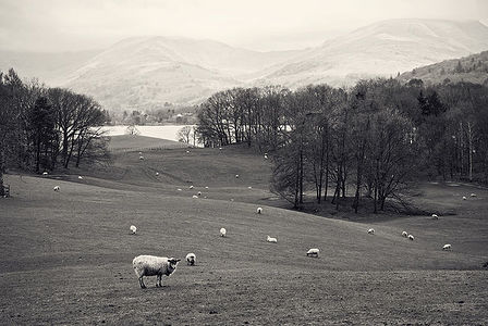 Озерный край, 2014 г.  Камера Sony A200, объектив Tamron 17–50/2,8